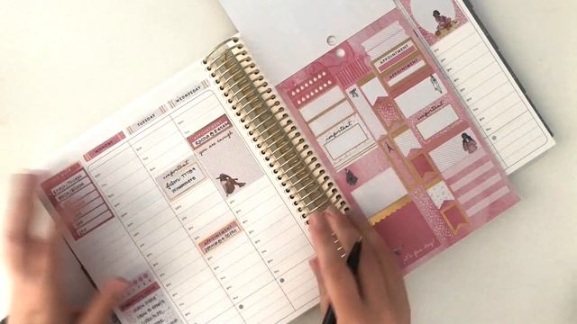 Erin Condren Plan With Me | Feb 24 - Mar 1 (Featuring NEW Michael's Collection)
