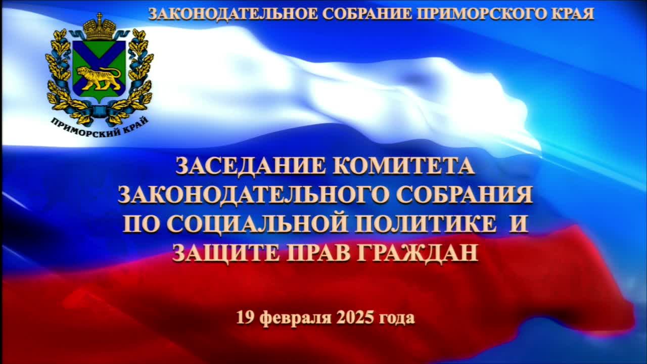 Заседание комитета по социальной политике и защите прав граждан 19.02.2025