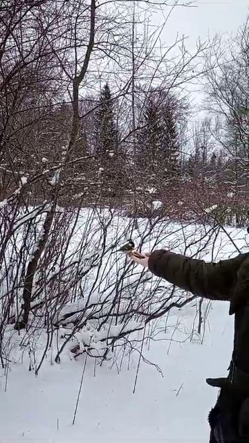 Парк г.Павловск.