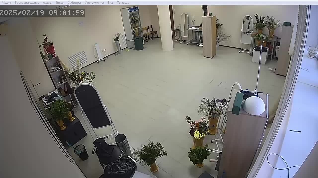 Чемпионат 2025 ПАПТ Флористика_190225