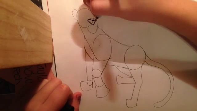 CowGirl Tutorials Bagheera