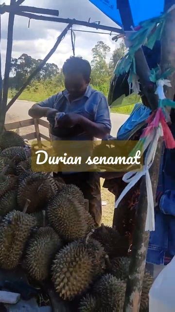 durian senamat jambi