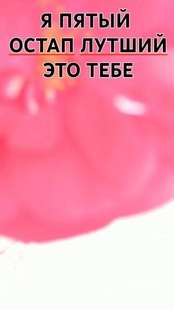 СНИМАЙТЕ ПОД КЛИП ОСТАПА ДАВАЙТЕ ВЗОРВЕМ ЛЕНТУ ШОРТС. #остаппарфенов #дуэт #music