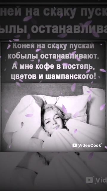 19-02-2025 ЛВЕ