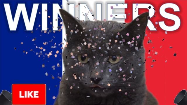 CASS THE CAT - EURO 2020 ROUND OF 16 PREDICTION - FRANCE VS SWITZERLAND