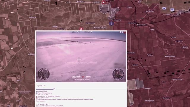 Последние боевые сводки: Решительный штрум (19 февраля 2025 г)
