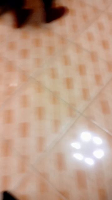 1000016648.mp4