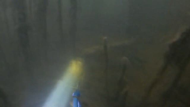 Подводна охота на пятизуба. 100% попадання