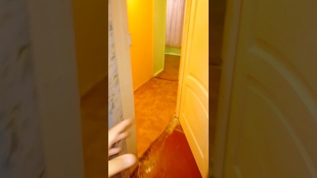 1080p_КАК_ПОЛЬЗУЮТ_КЛОПЫ