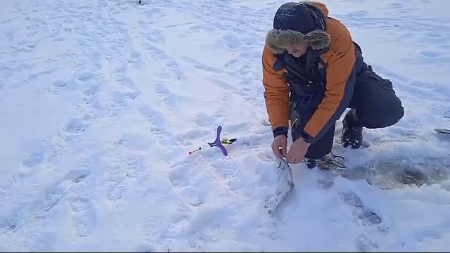 19.02 25 г. Парк отдыха водопад