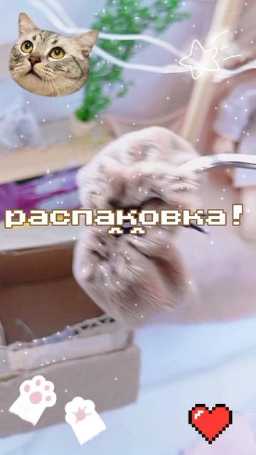 распаковка в честь 12 просмотров