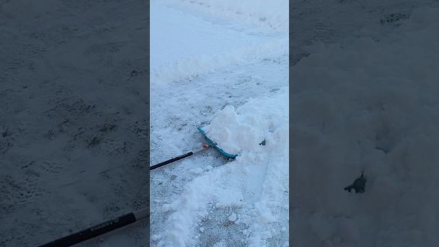 зимний_день_в_деревне.mp4