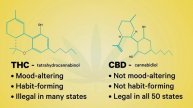 What is CBD?