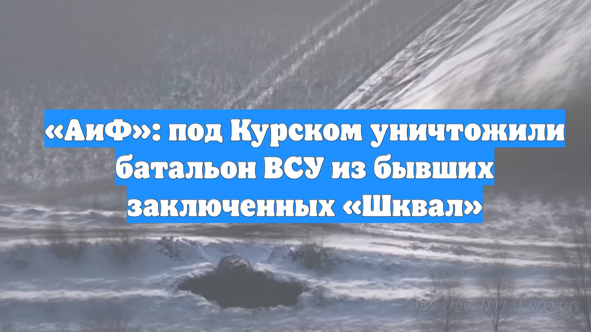 «АиФ»: под Курском уничтожили батальон ВСУ из бывших заключенных «Шквал»