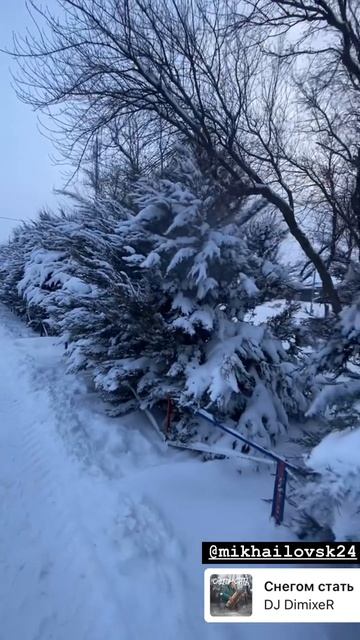 -8821556749765017761