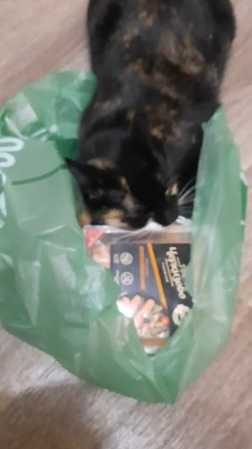 🐈⬛КОТИК🐈 помогает разбирать  продукты 🍞🥒🍗