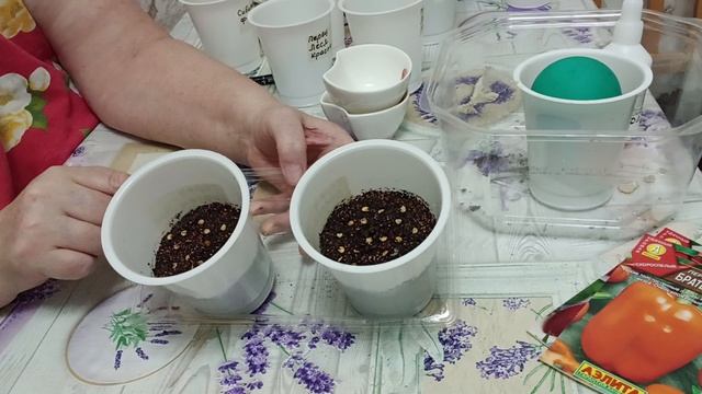 19 февраля Среда Лучший день для посева семян Перцев и Баклажан