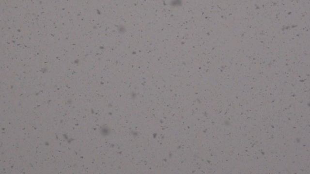 Сильный снегопад, замедленно в 40 раз
