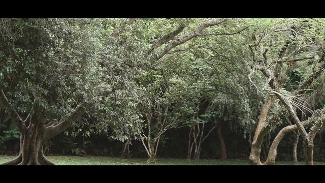 Lindo ensaio de 15 anos no Jardim Botânico da Nicolly Debutante
