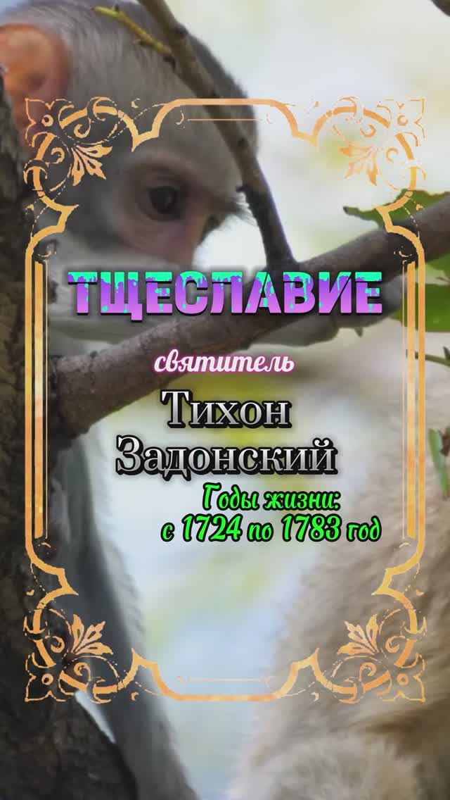 ТЩЕСЛАВИЕ. Святитель Тихон Задонский