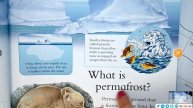 Reviewing I Wonder Why Penguins Can't Fly