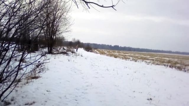 Тест колонки JBL