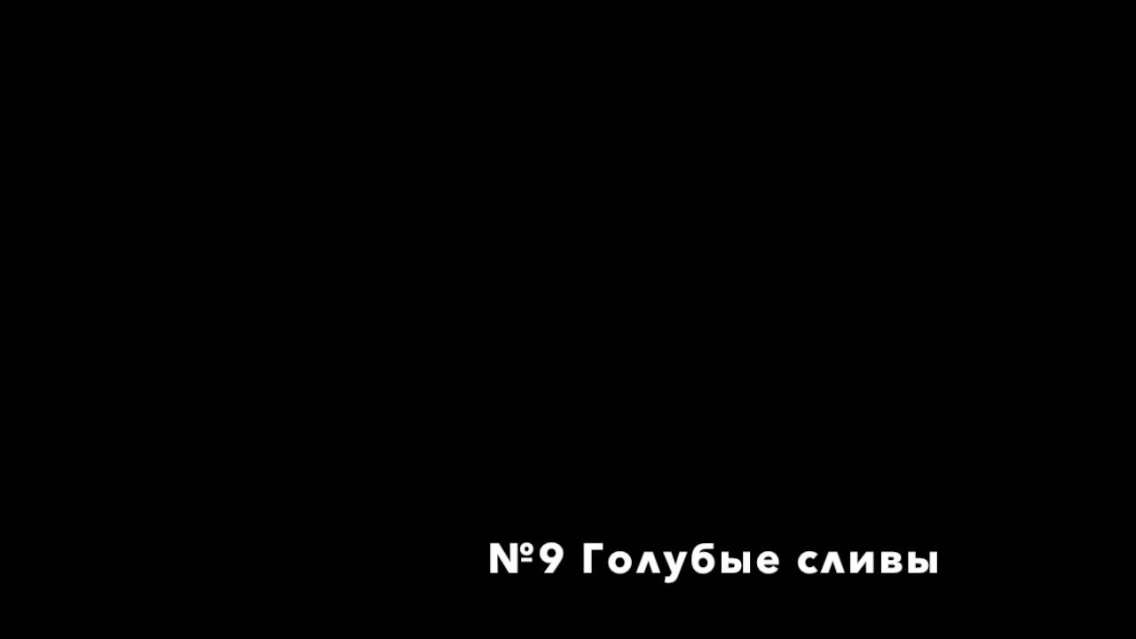 Проповеди чаньского наставника дяди Фрэнка. №9 Голубые сливы.