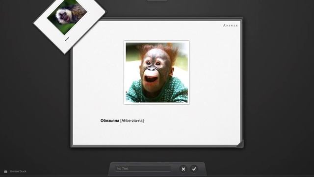 Animals in Russian: How to say Monkey in Russian