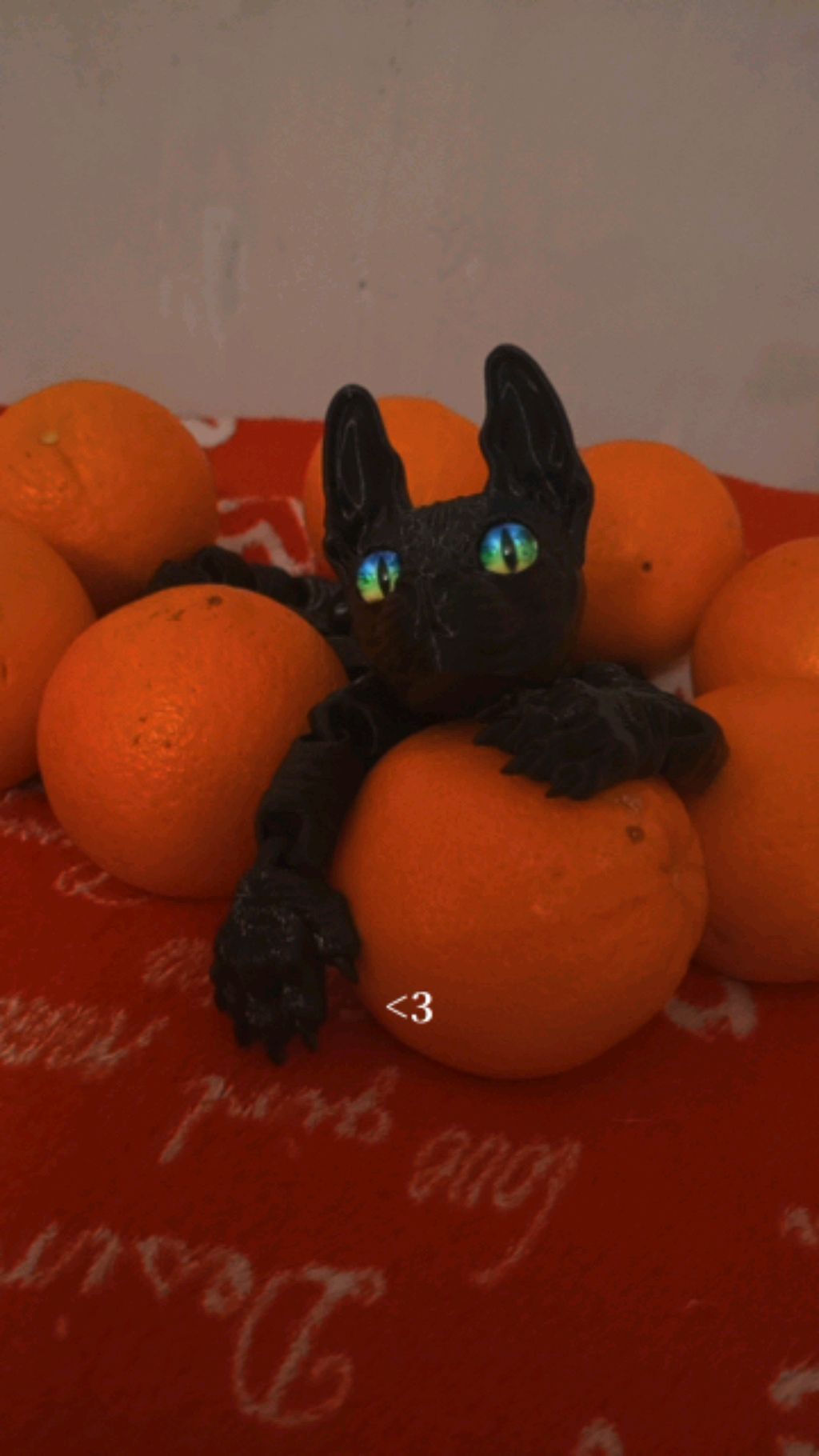 3D котик