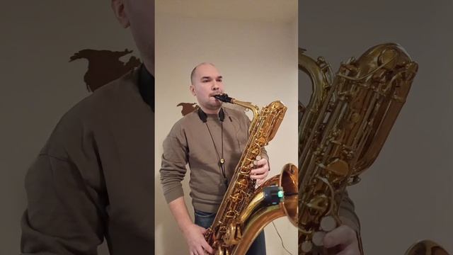 I know why (Саксофон баритон кавер) Conn 13m