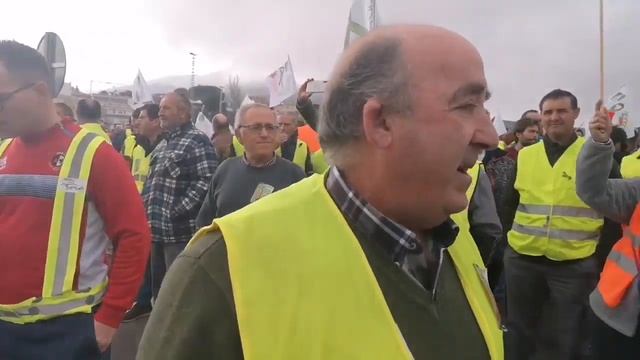 SOS Olivar - Torredelcampo
