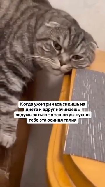 Знакомо?!😂