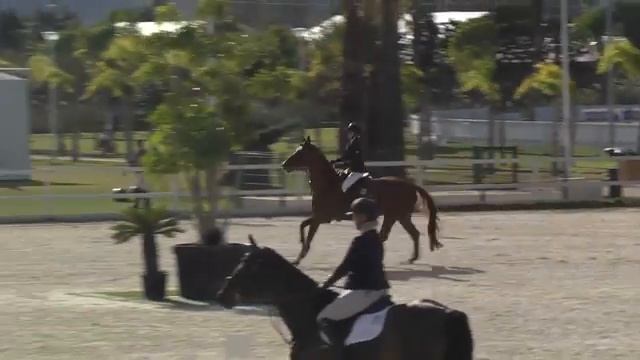 GABANA - Esther Giner Llacer - Bronze 2 - Valencia (07.11.2014)