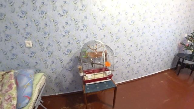 1080p_Что_приготовить_на_новогодний_стол_2019_Обзор