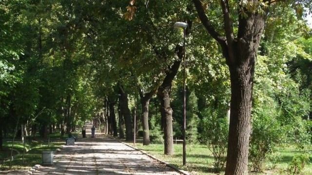 Мажнунтол