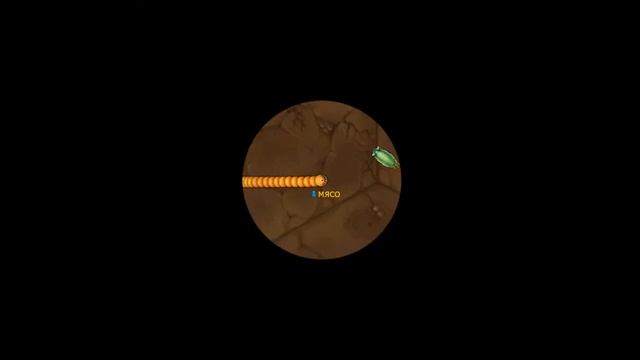 Выбил новый скин в литлБиг снейк ио
