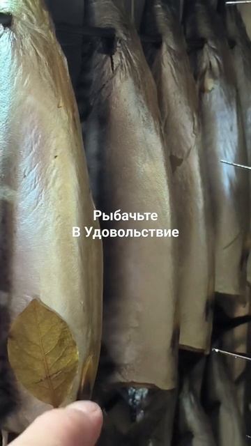 Новая партия вкусной скумбрии холодного копчения. "A new batch of delicious cold smoked mackerel."
