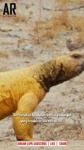 Kisah Rasulullah dihidangkan daging biawak (dhab)