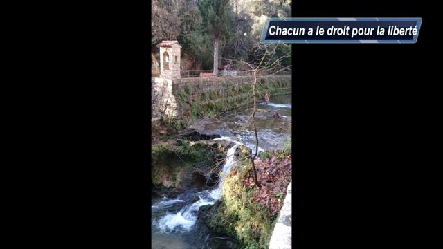 Chacun a le droit pour la liberté - Anna OSTROVSKAYA