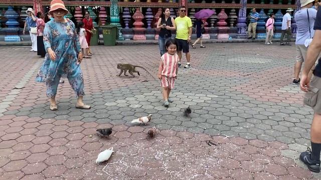 На нас напала Малазийская обезьяна у пещер Бату😧/ Malaysian monkey attacked us at Batu caves 😧
