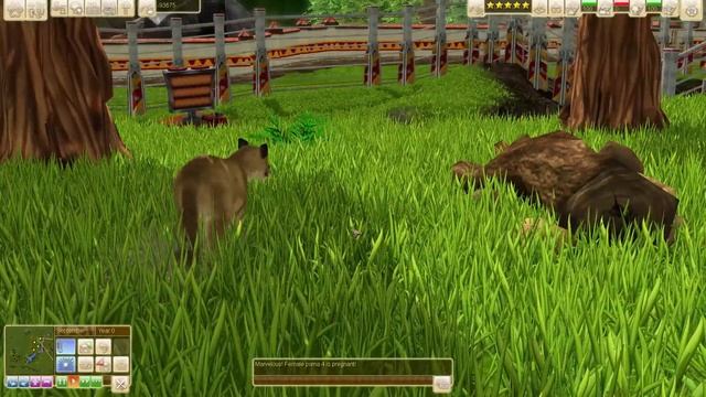 Wildlife Park 3 Puma/Cougar Gameplay Better Graphics! HD
