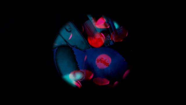 Shark Anthony - Ride Ride Ride (Official Music Video)