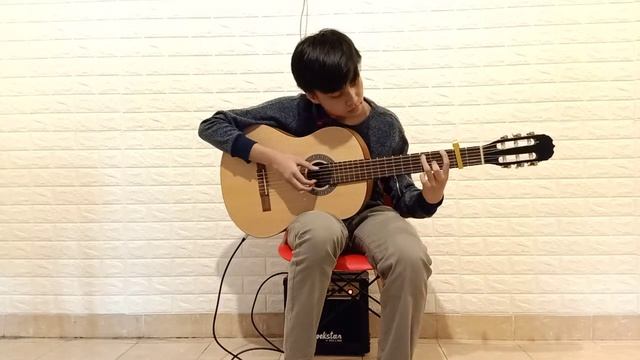 Canon in D | Fingerstyle Guitar Cover | Fabian Evan Arva