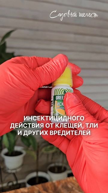 Три эффективных препарата против вредителей растений, которые есть в моей аптечке.