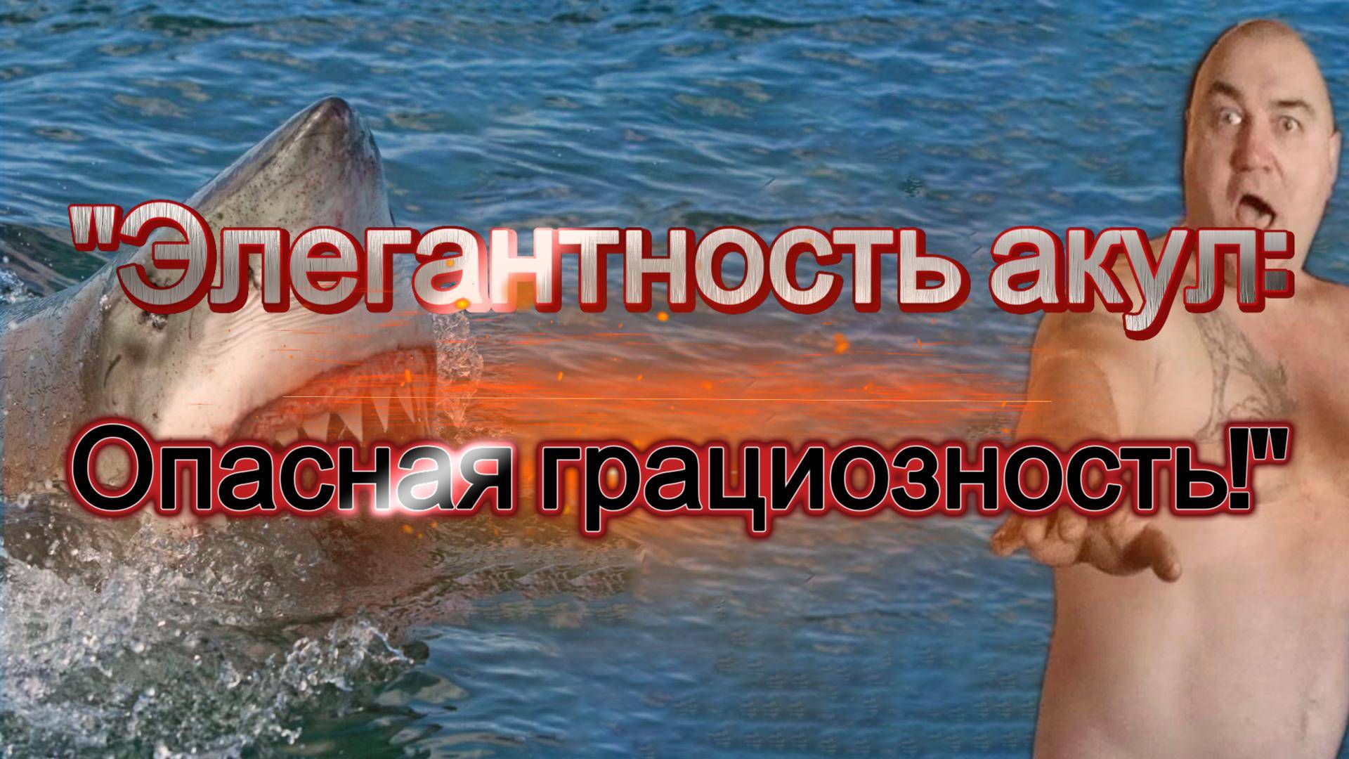 Элегантность акул: Опасная грациозность!
