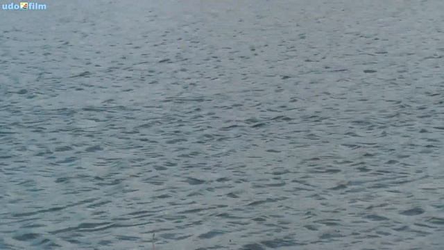 RC Sailboats on Lake Eixer: Motorsailor INGA IV (Hegi) meets  Int. Dragon 1m (H2o RC Design)