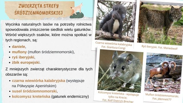 Geografia klasa 5. Krajobraz śródziemnomorski. Uczymy się razem
