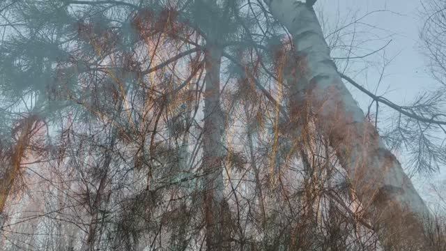 Пасмурный день без намёка на просинь. Стихи и видеомонтаж мои. Музыка -Игнац Плейель