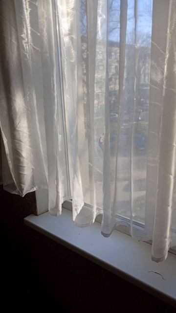 VID_20250218_170539
