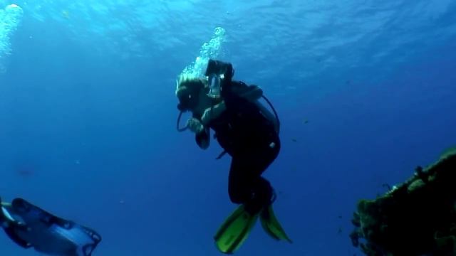 Grand Cayman Diving Sampler